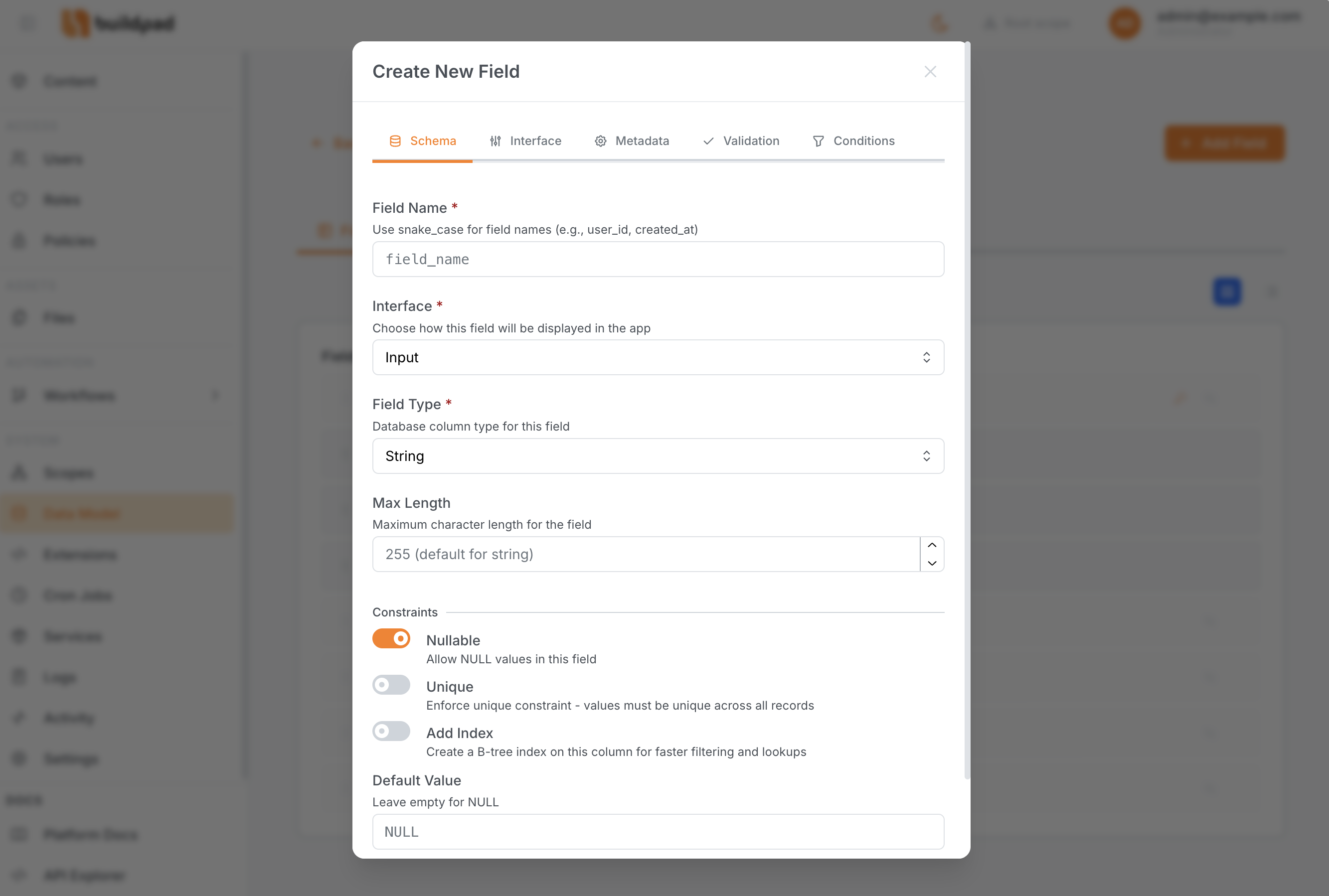 Field Detail Modal (Schema tab)